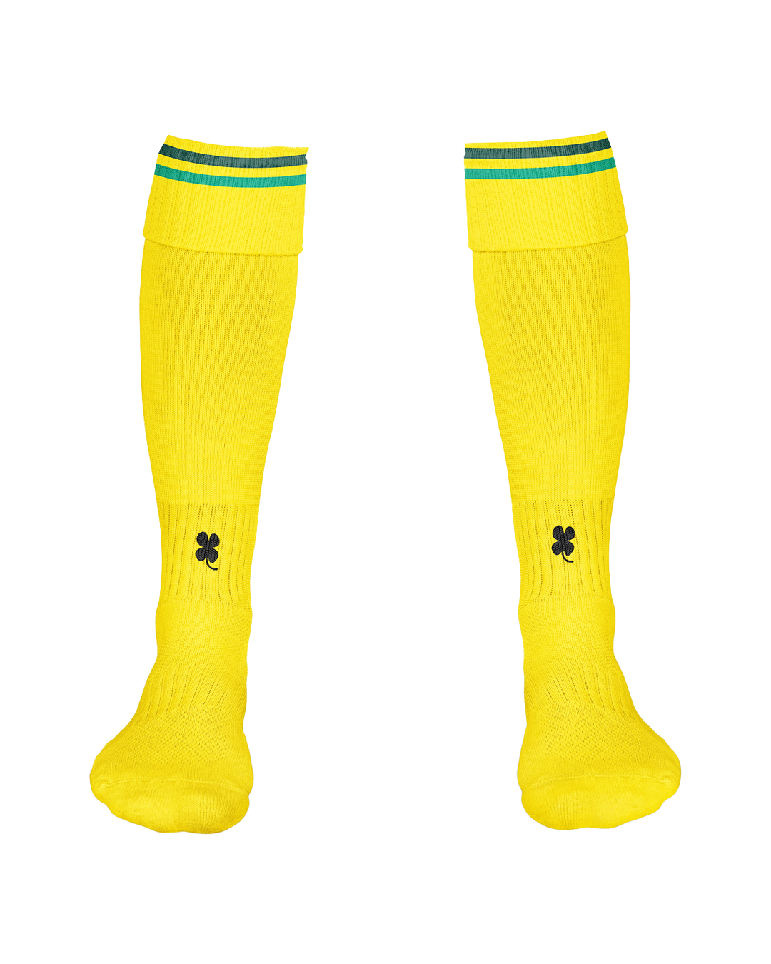 Fortuna Sittard Heimsocken 2023-2024