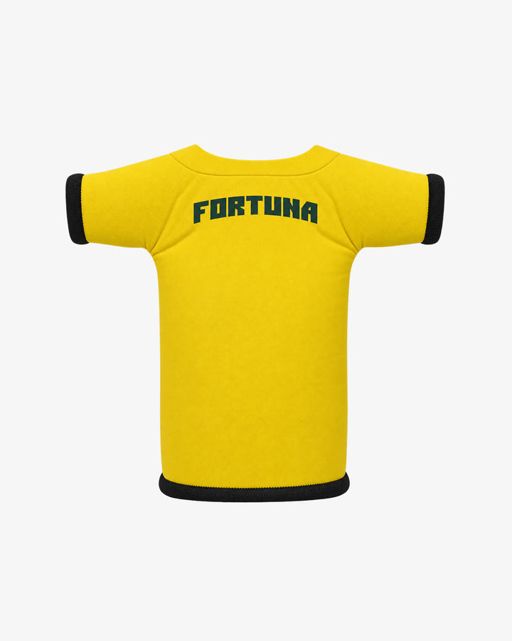 Fortuna Sittard Bierkoeler Algemeen