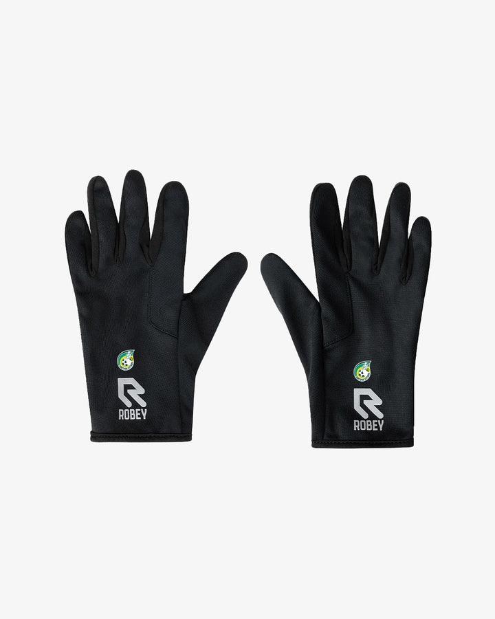Fortuna Sittard Gloves