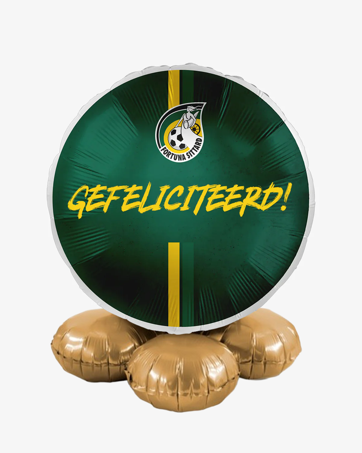 Fortuna Sittard Ballon