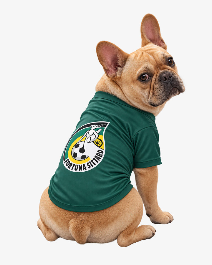 Fortuna Sittard Hondenshirt